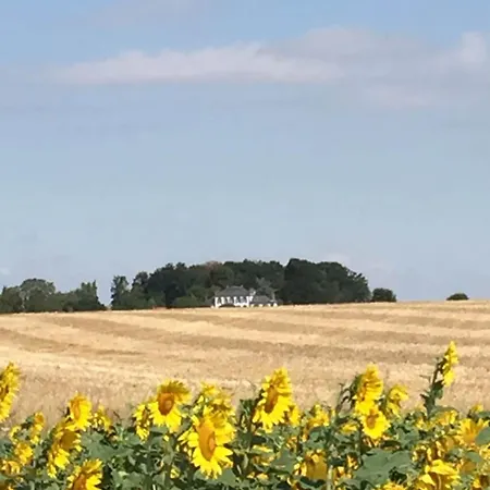Διαμέρισμα Cozy & Stylish In A House Near Perche Saint-Germain-le-Gaillard